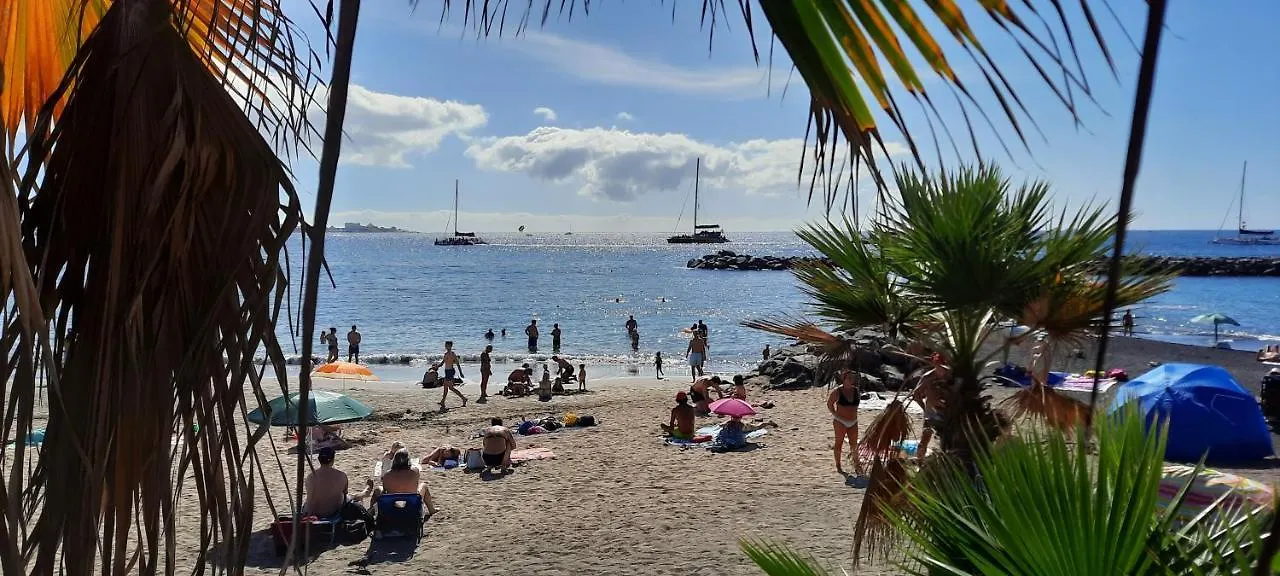 Apartamento Carmen Adeje Apartment Costa Adeje  Costa Adeje (Tenerife)